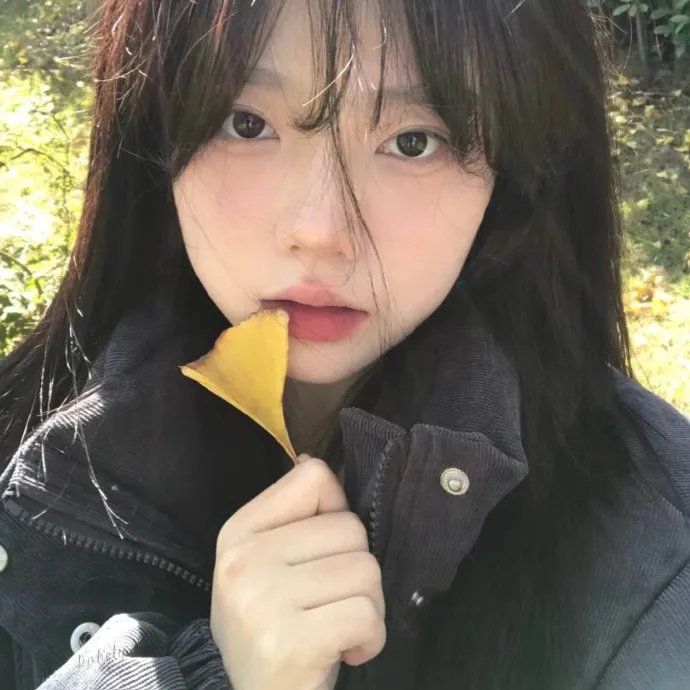 车轴